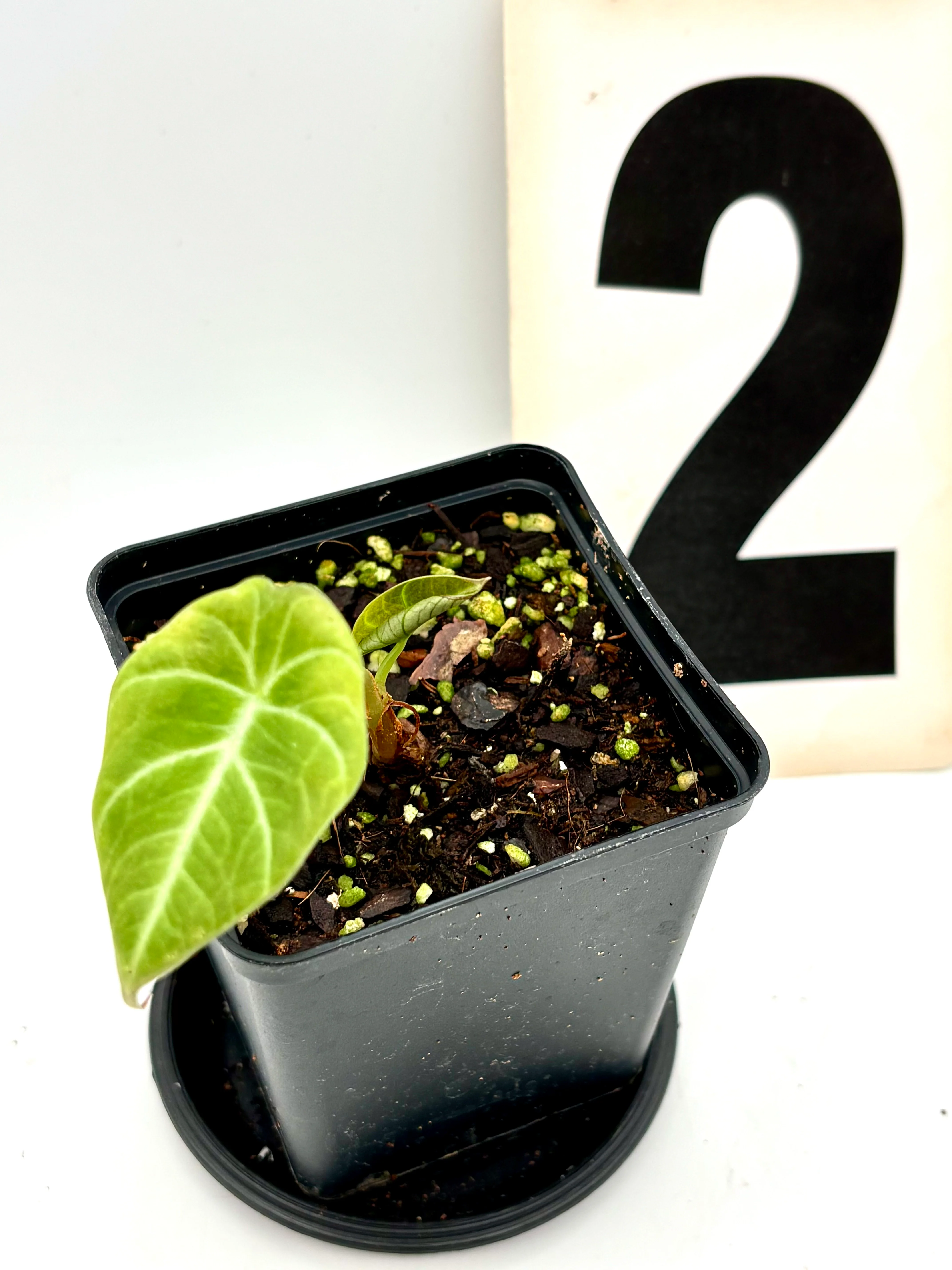 Produktbild 2
