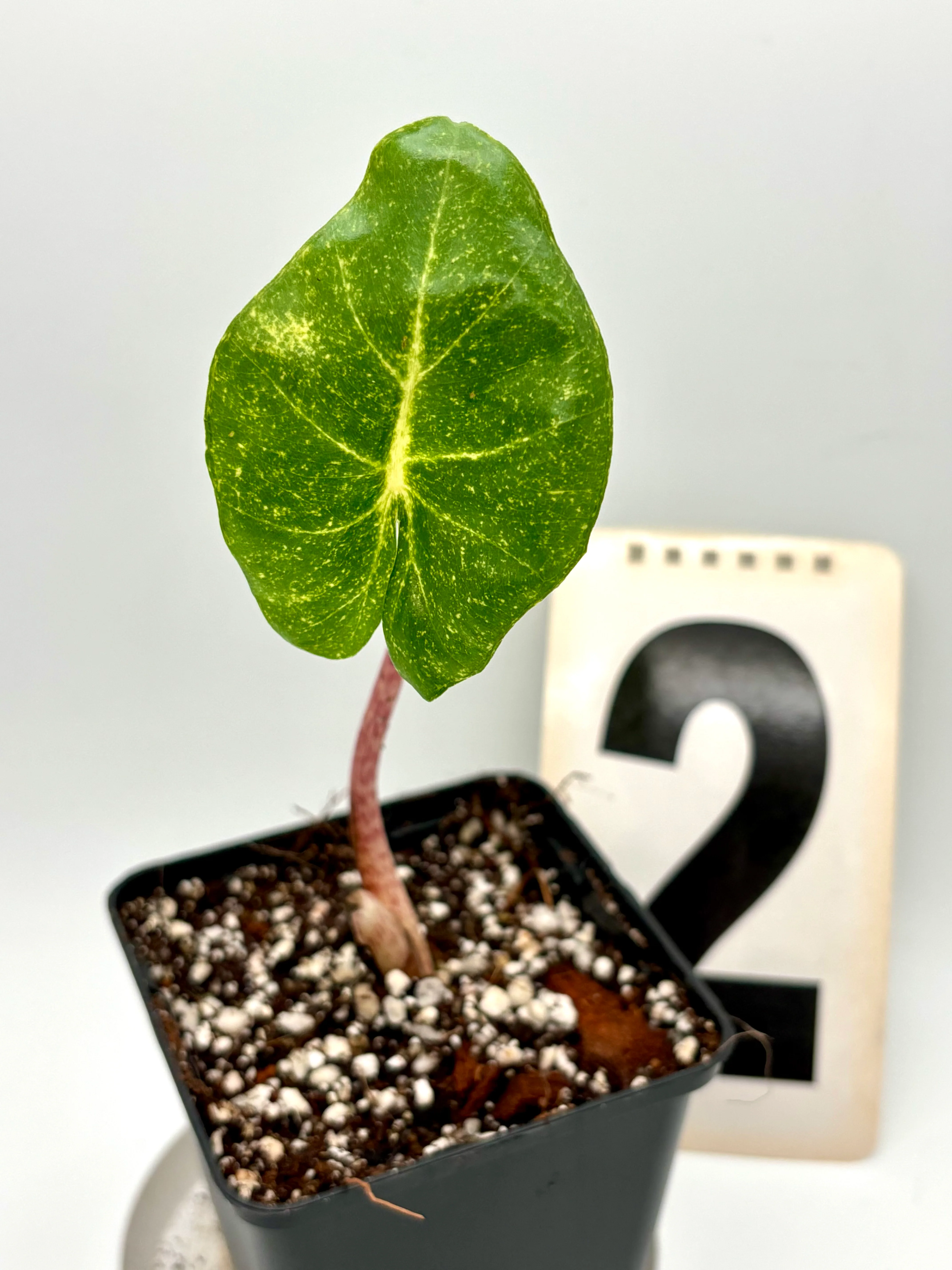 Produktbild 2