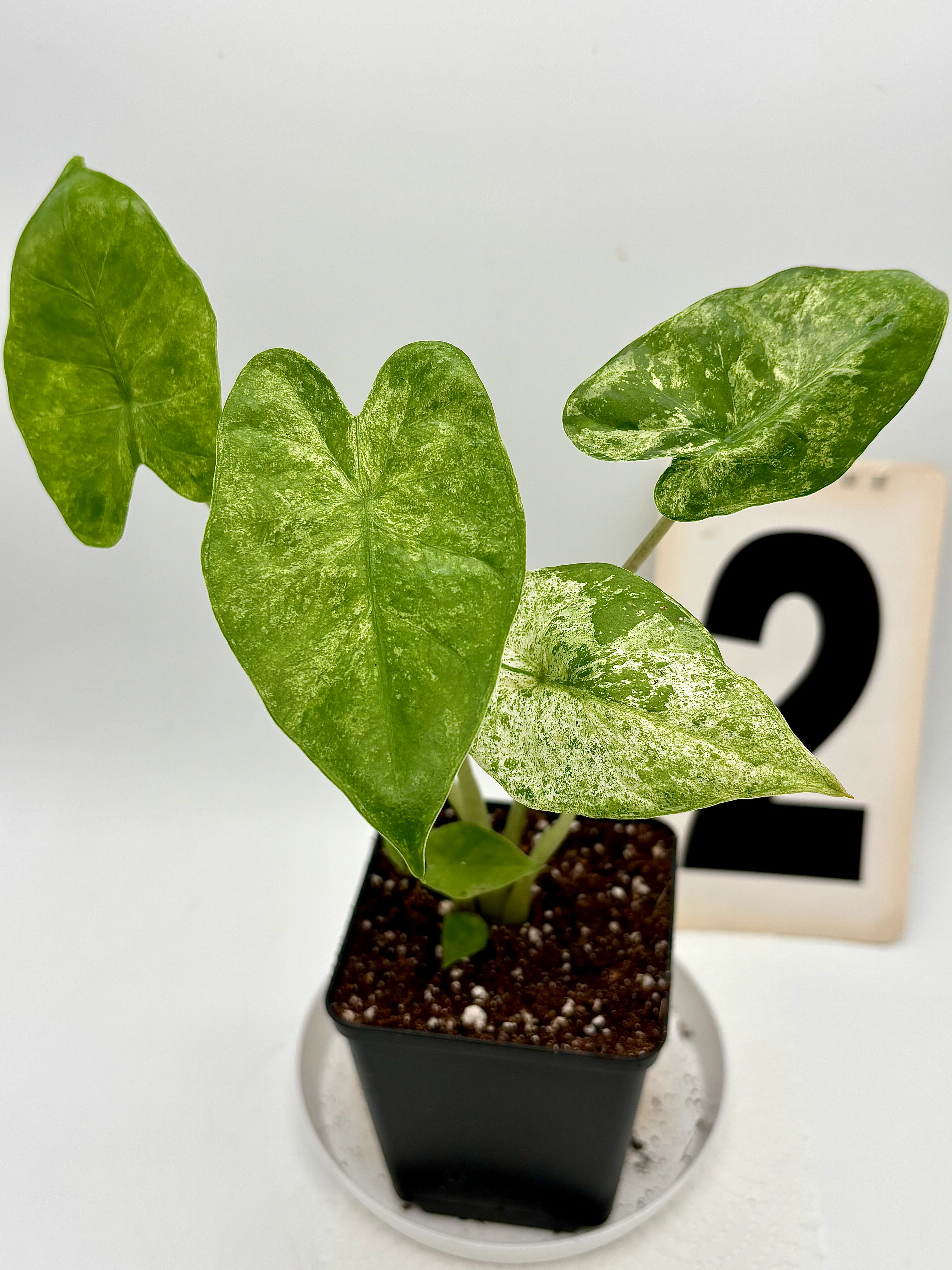 Produktbild 2