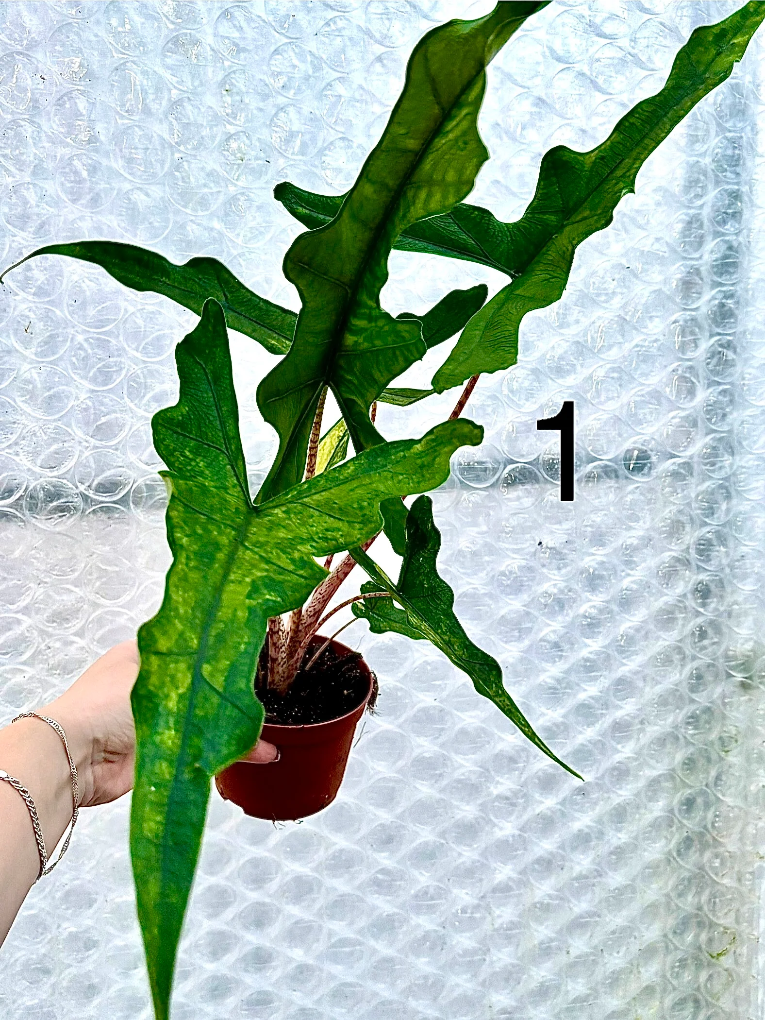 Produktbild 8