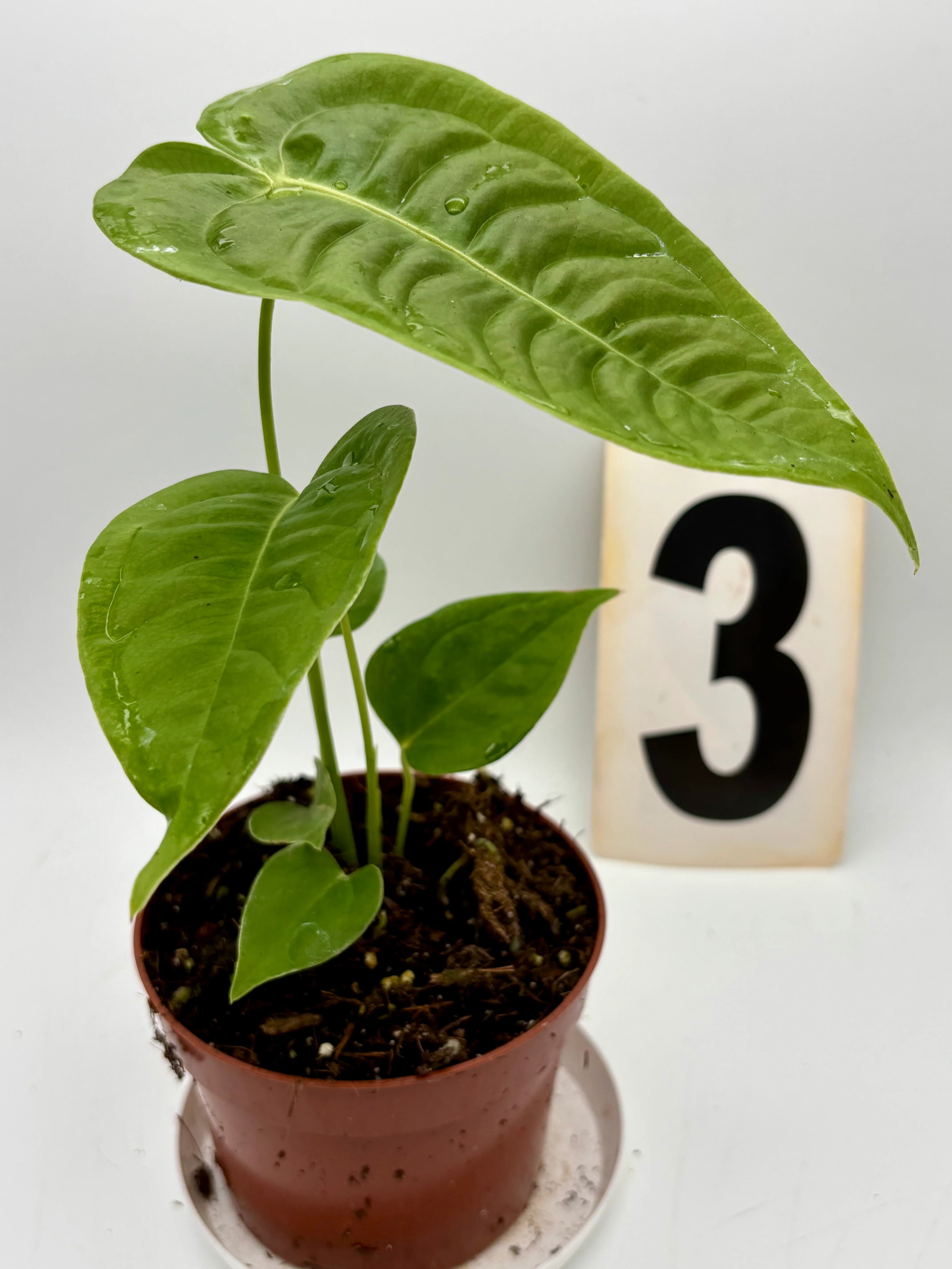 Produktbild 3