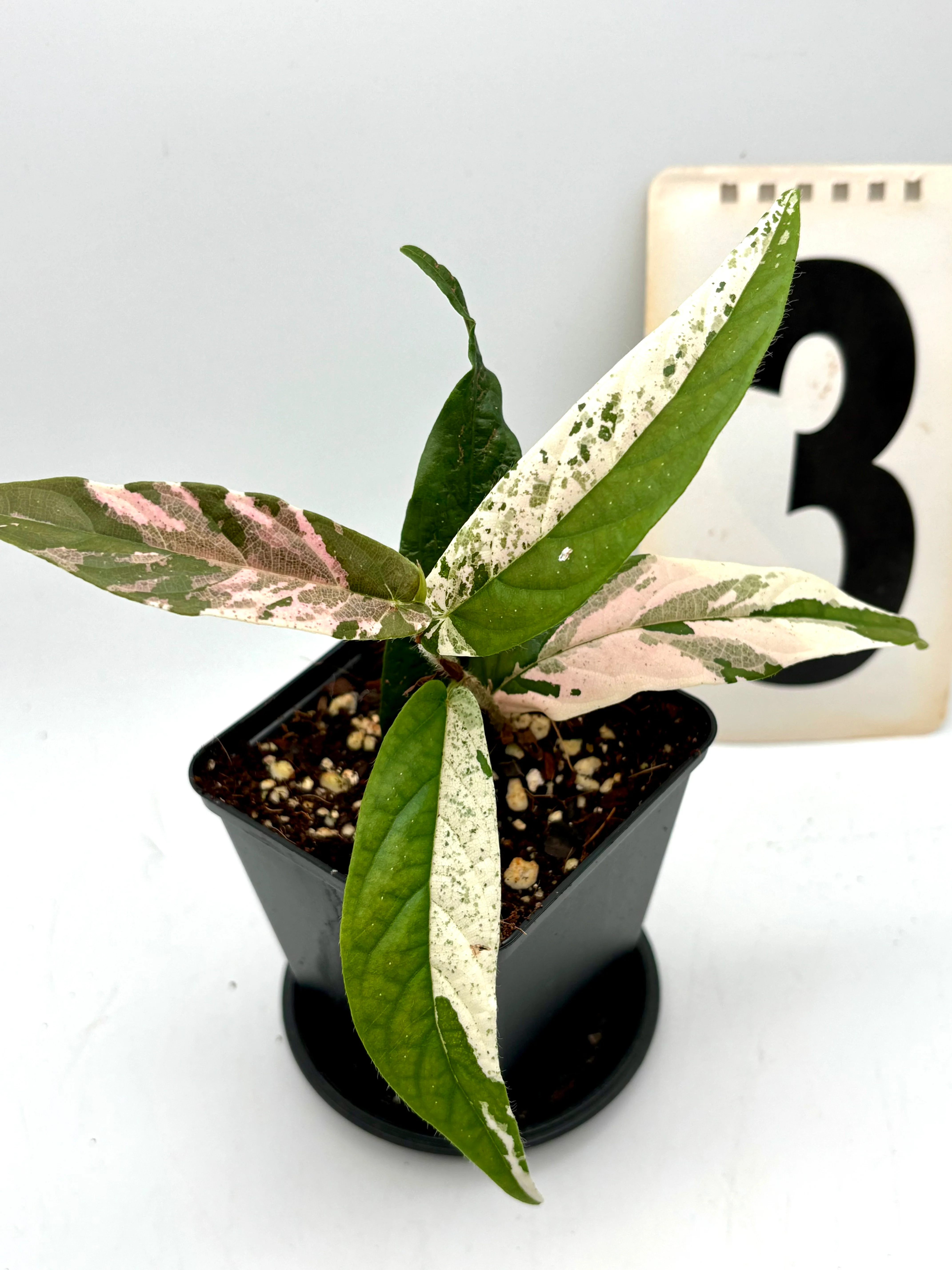 Produktbild 3