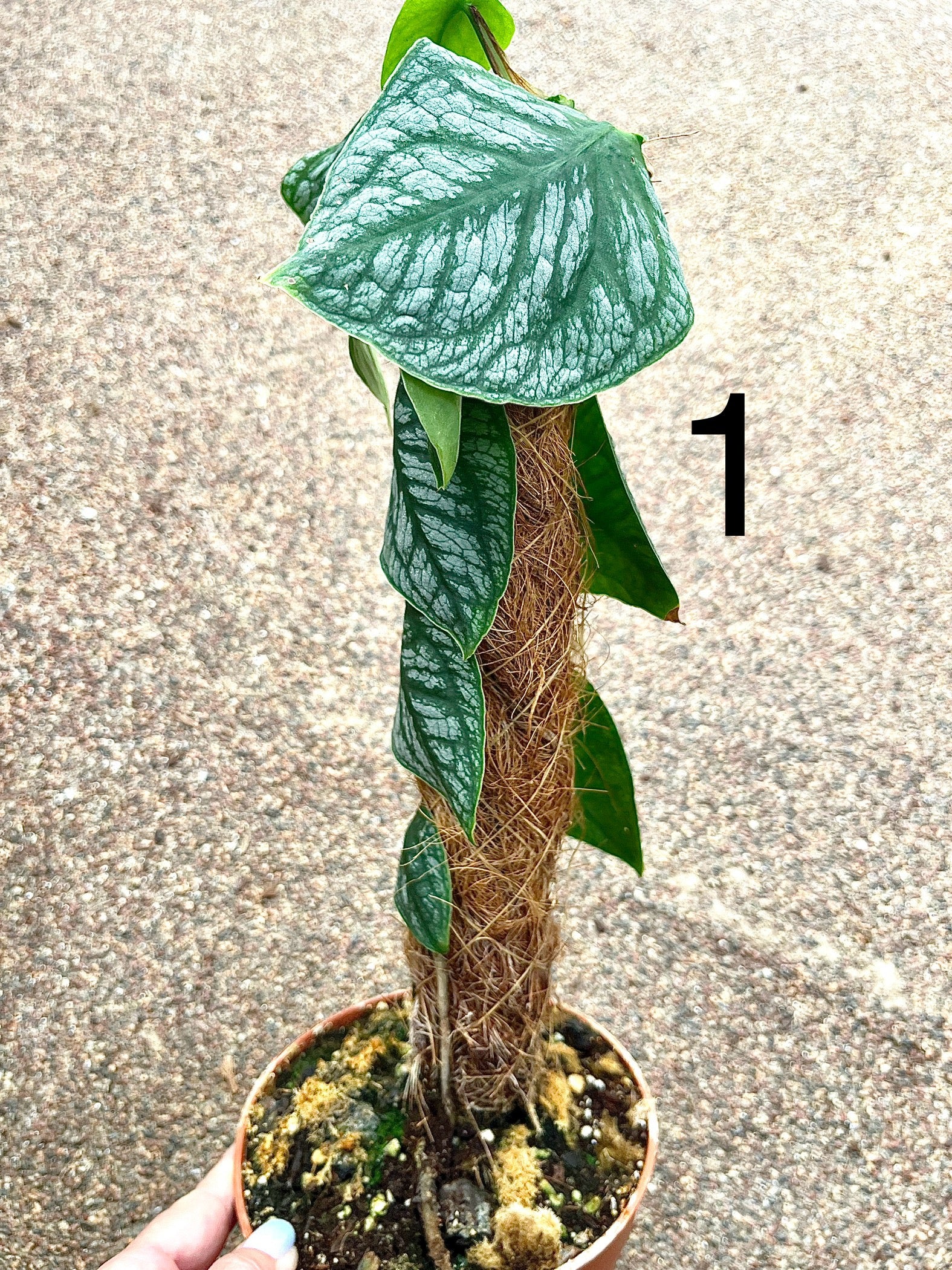 Produktbild 3