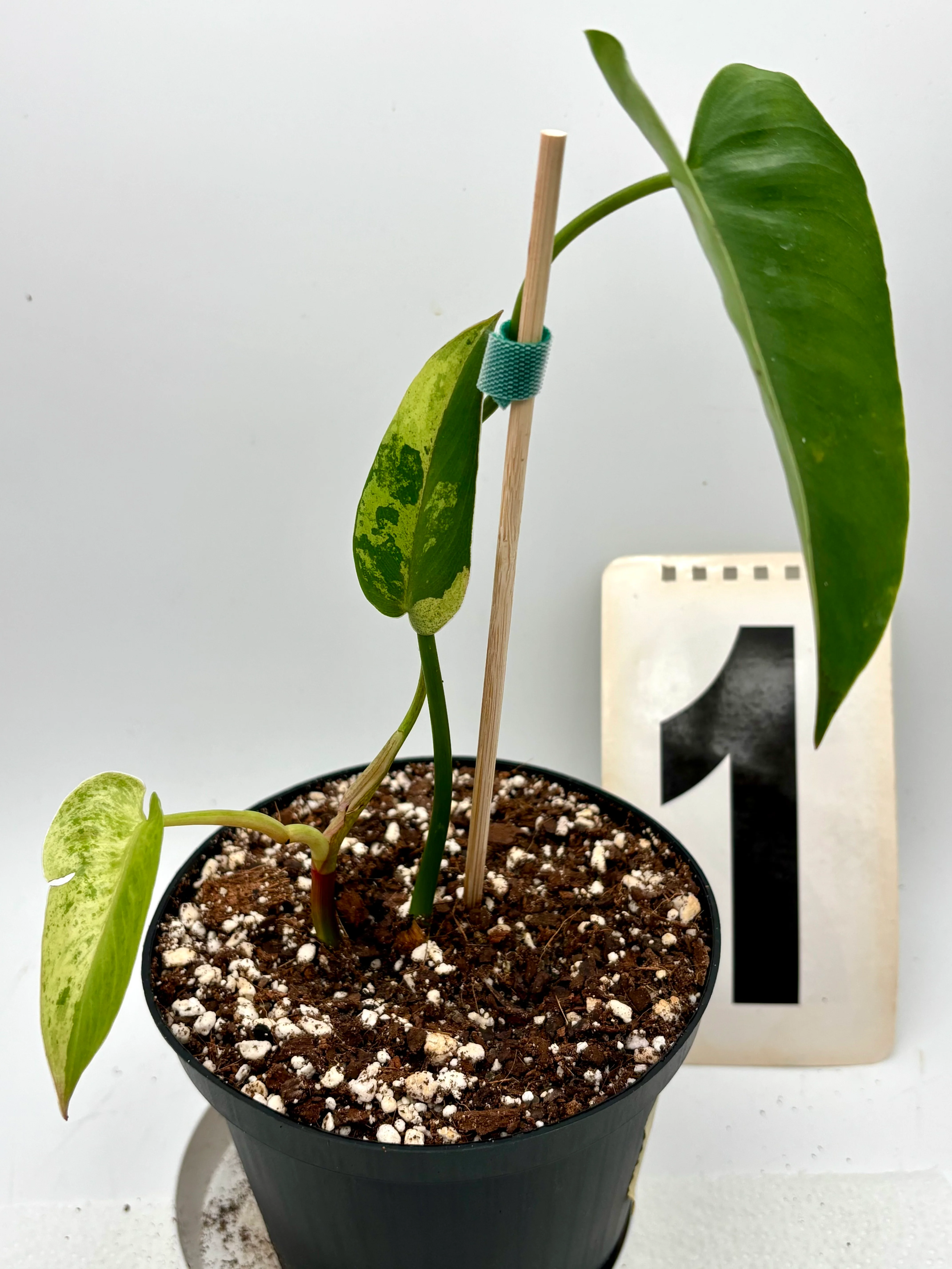Produktbild 3