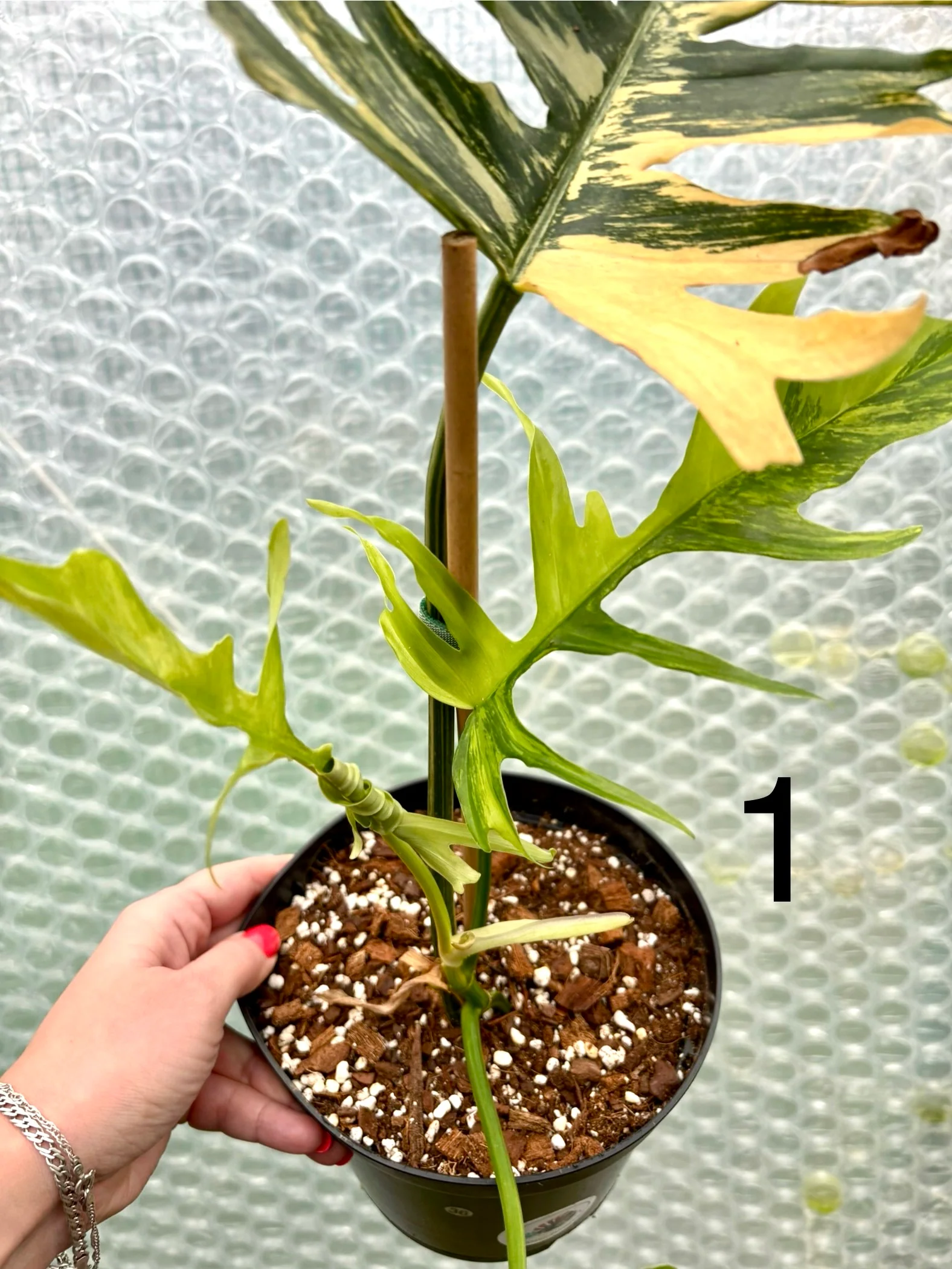 Produktbild 6