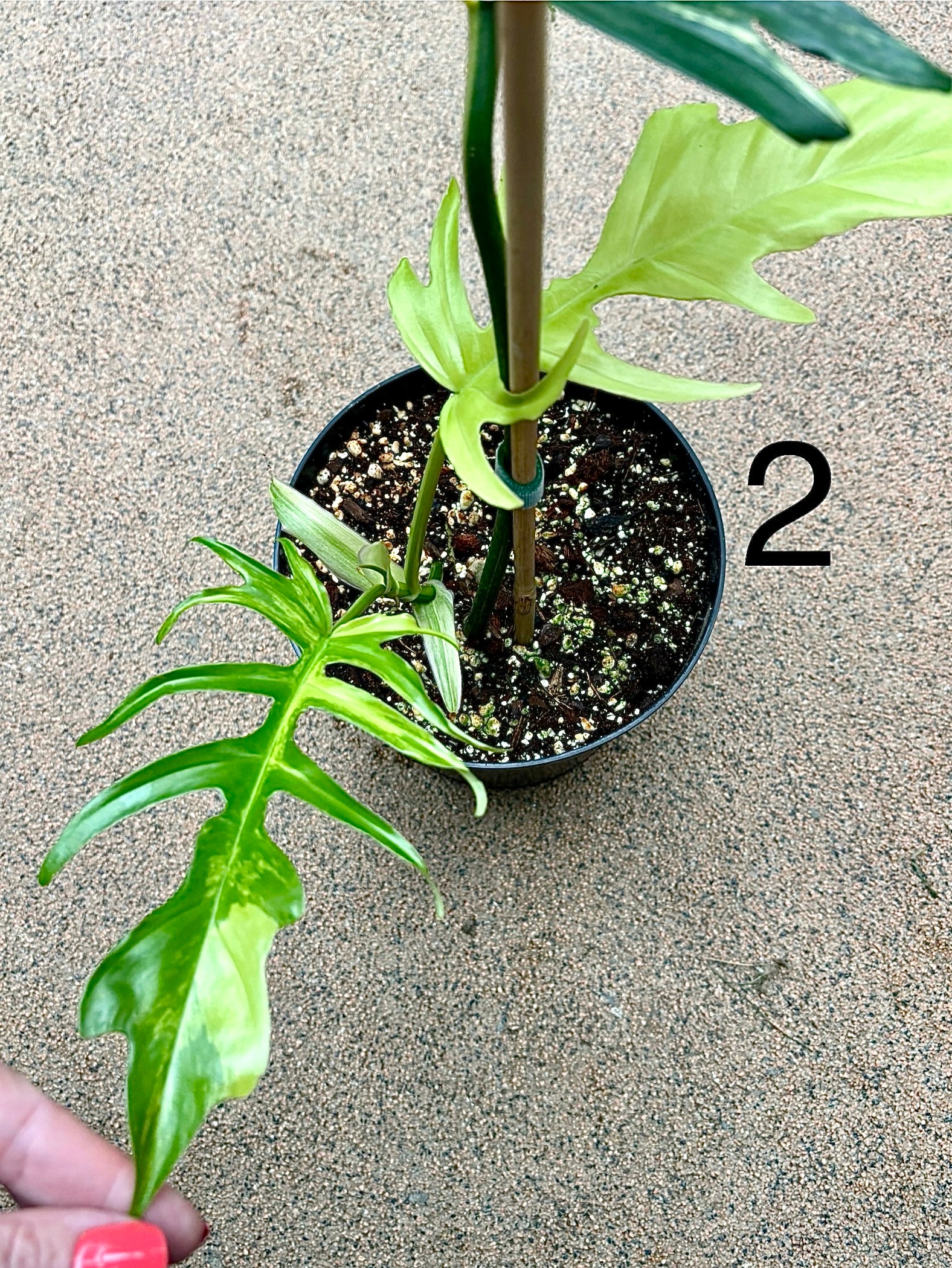 Produktbild 7