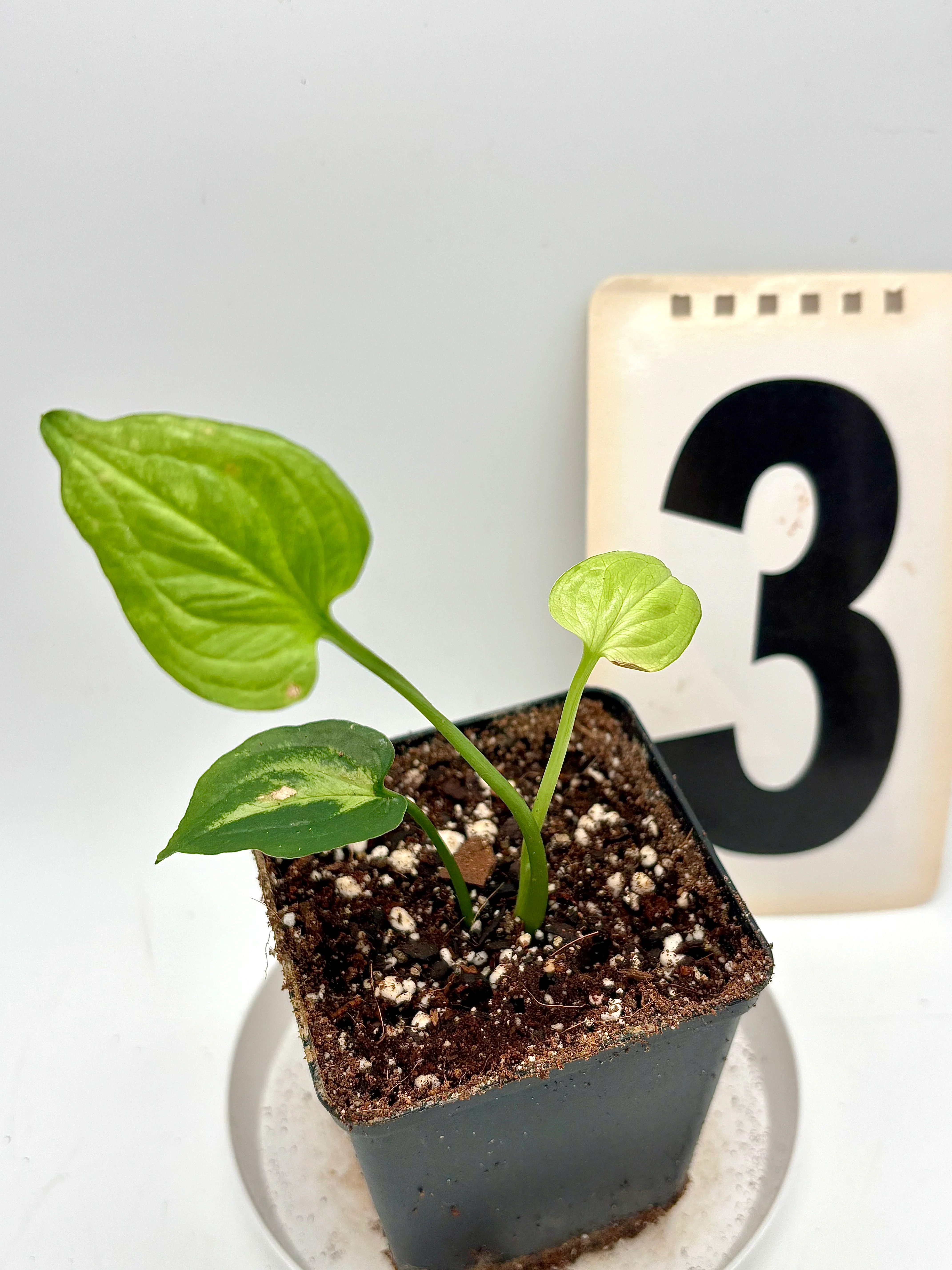 Produktbild 3
